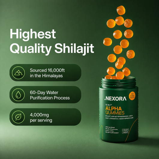 10-in-1 Alpha Shilajit Gummies